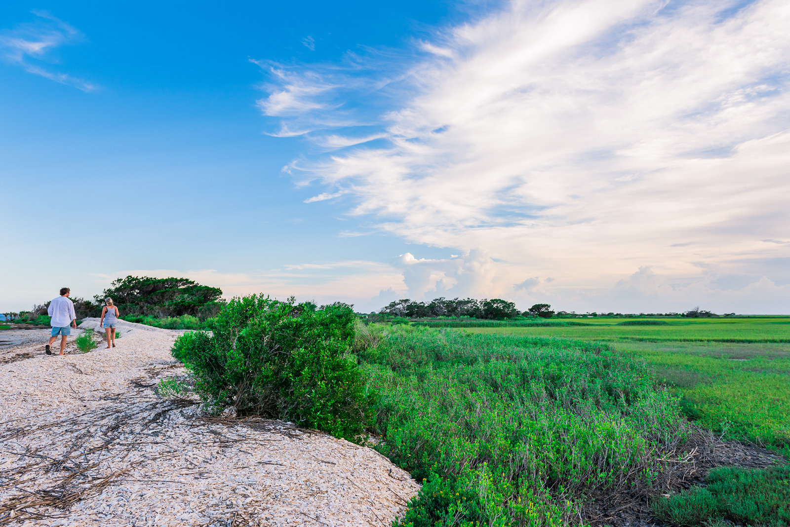 Little Raccoon Key — shoreline